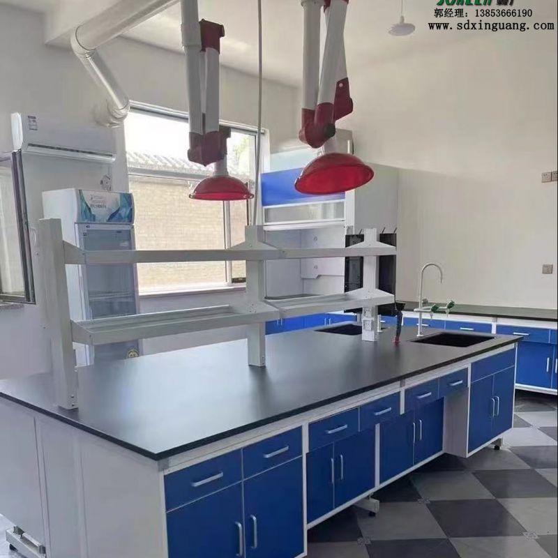 濰坊實(shí)驗(yàn)室家具萬(wàn)向罩PP吸氣罩抽氣罩